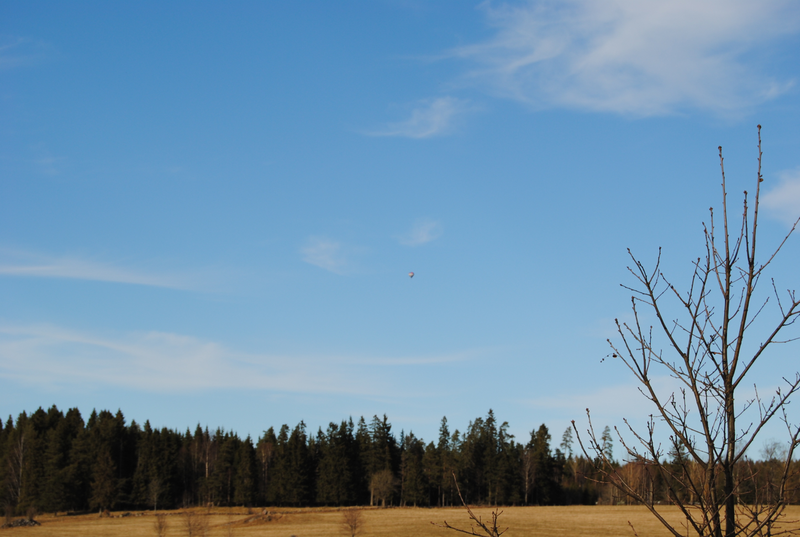 Best Portable Camping BBQ Grils Reviews