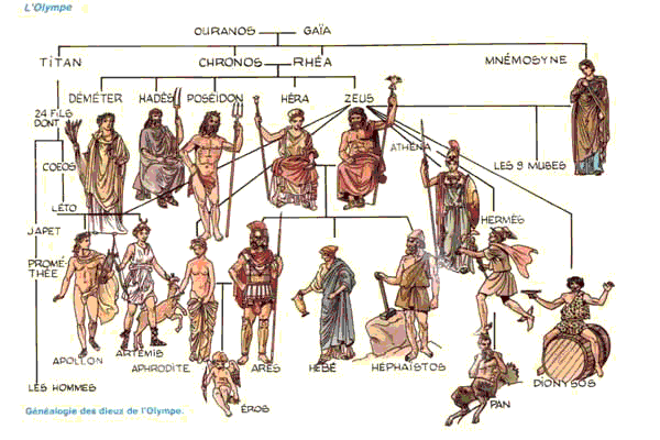 Latin 1 ( 2020-2021