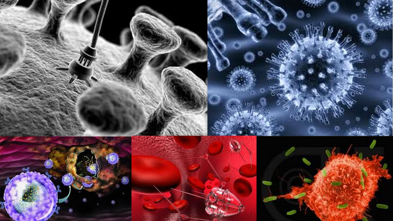 an analysis of the nanotechnology in cancer treatment Nanotechnology in treatment of cancer 1 1introduction 2overview 3preventive approach 4cancer treatment 5applications 6advantages 7disadvantages 8future 9conclusion. an analysis of the nanotechnology in cancer treatment Nanotechnology in treatment of cancer 1 1introduction 2overview 3preventive approach 4cancer treatment 5applications 6advantages 7disadvantages 8future 9conclusion.