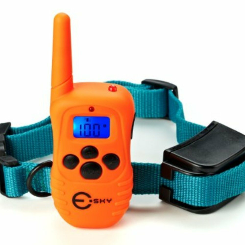 Best Rated Shock Collars For Dogs Best Rated Shock Collars For Dogs