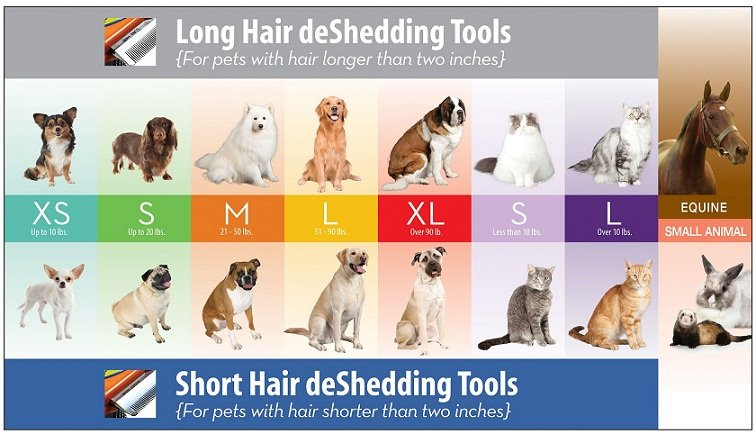 best deshedding brush for beagles