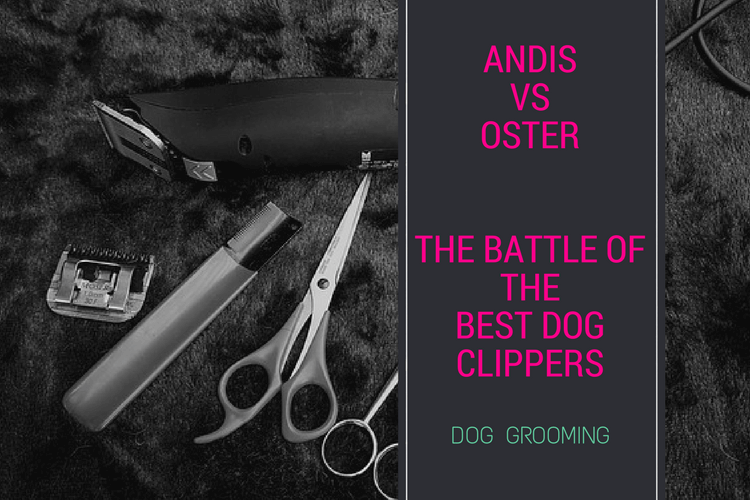 oster dog grooming
